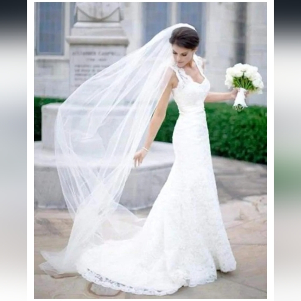 🆕Cathedral Veil